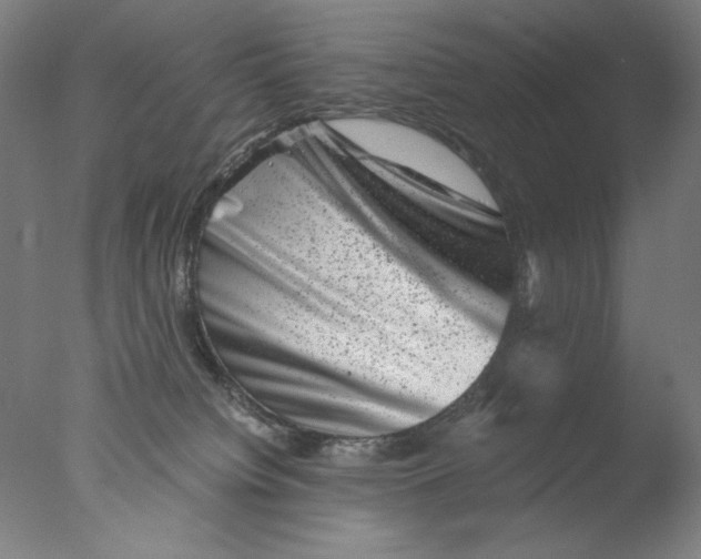 X0000076070084200610202025