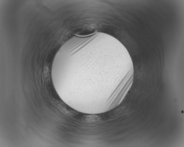 X0000076070087200610202025