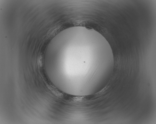 X0000076070090200610202025