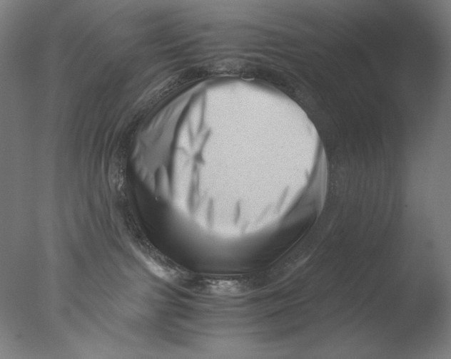 X0000076070091200610202025