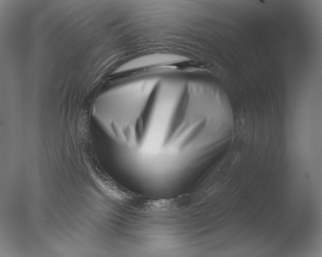 X0000076070092200610202025