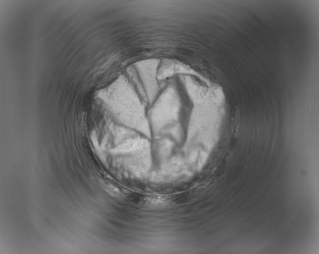 X0000076070093200610202025