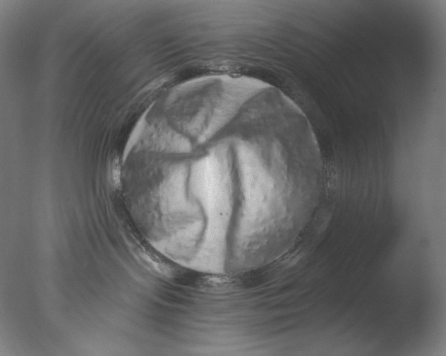 X0000076070095200610202025