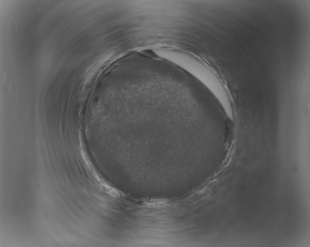 X0000076070097200610202025