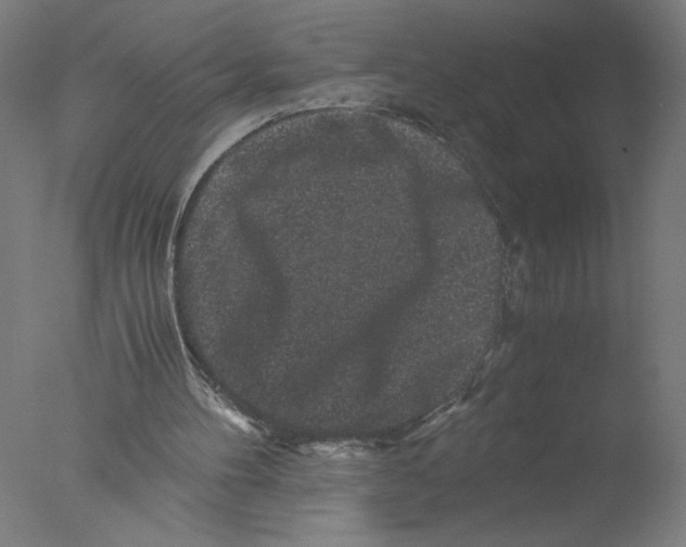 X0000076070100200610202024