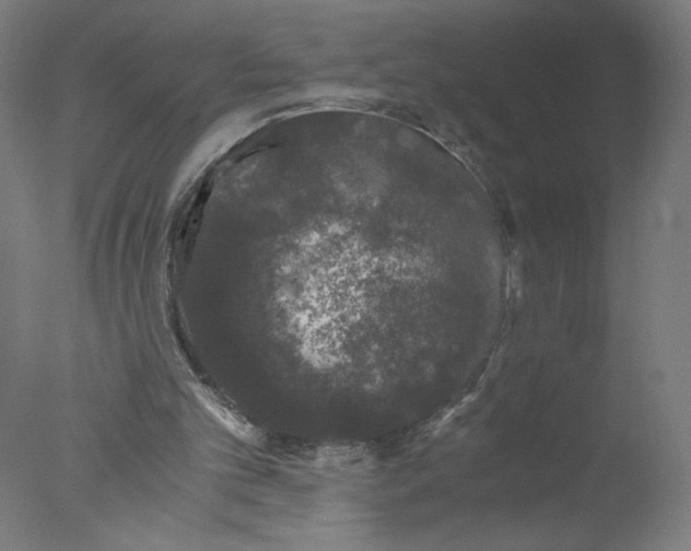 X0000076070101200610202024