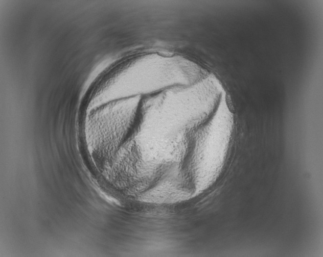 X0000076070102200610202024