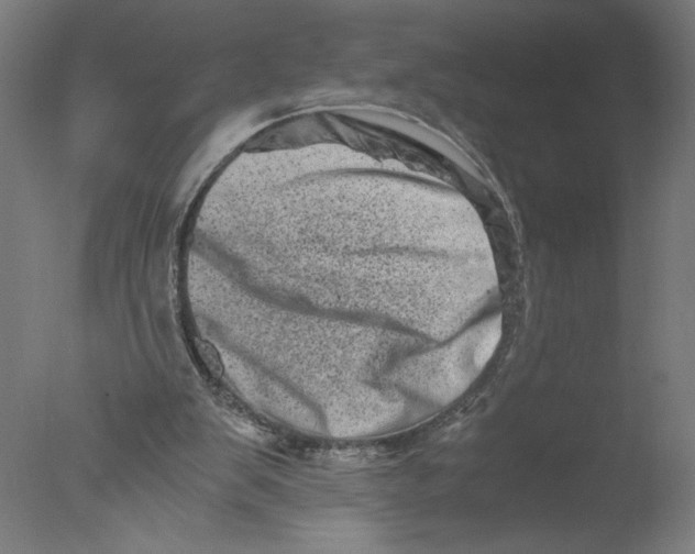 X0000076070103200610202024