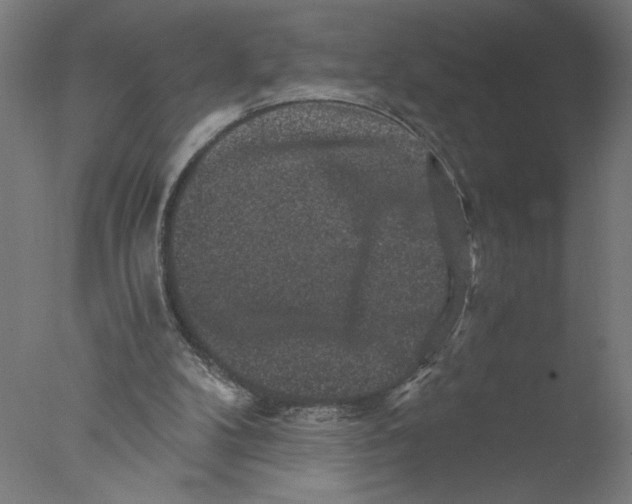 X0000076070104200610202024