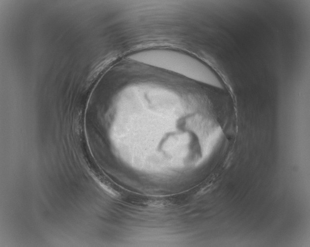 X0000076070105200610202024