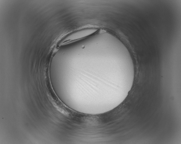 X0000076070106200610202024