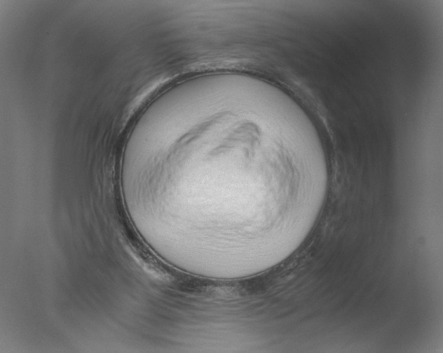 X0000076070107200610202024