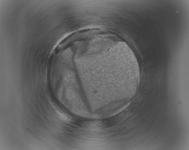 X0000076070108200610202024