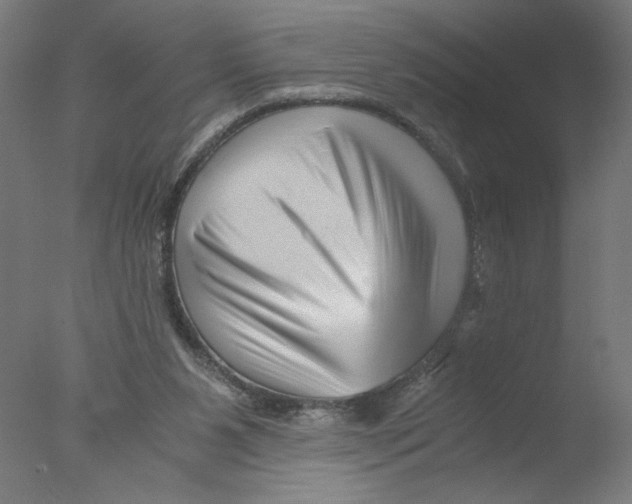 X0000076070111200610202024