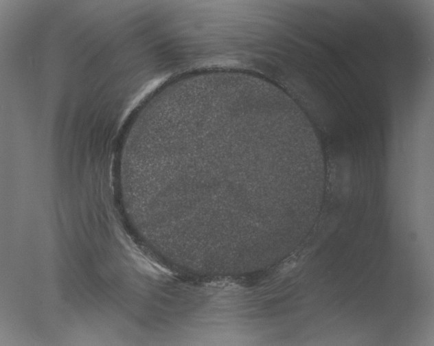 X0000076070112200610202024