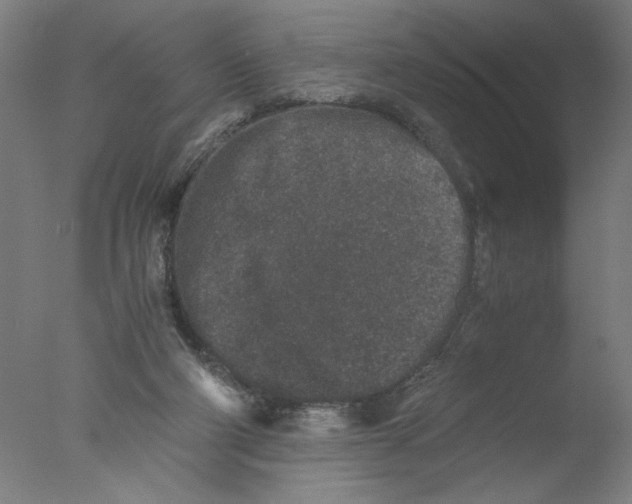 X0000076070114200610202024