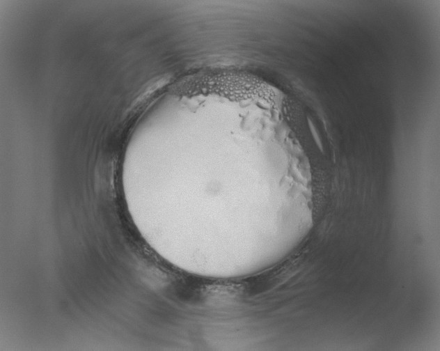 X0000076070115200610202024