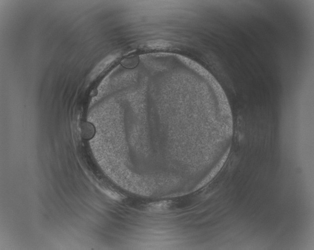 X0000076070116200610202024