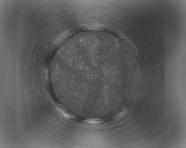 X0000076070117200610202024