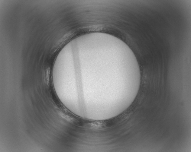 X0000076070118200610202024