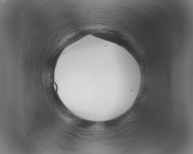 X0000076070119200610202024