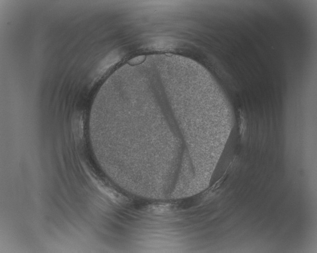 X0000076070120200610202024