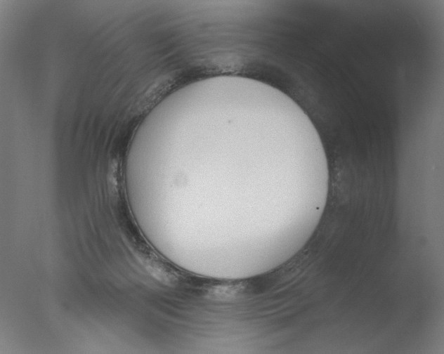 X0000076070122200610202024