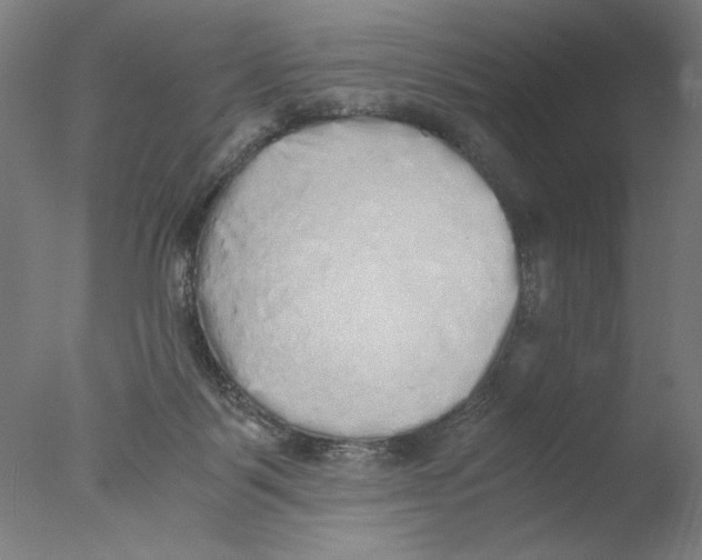 X0000076070123200610202024