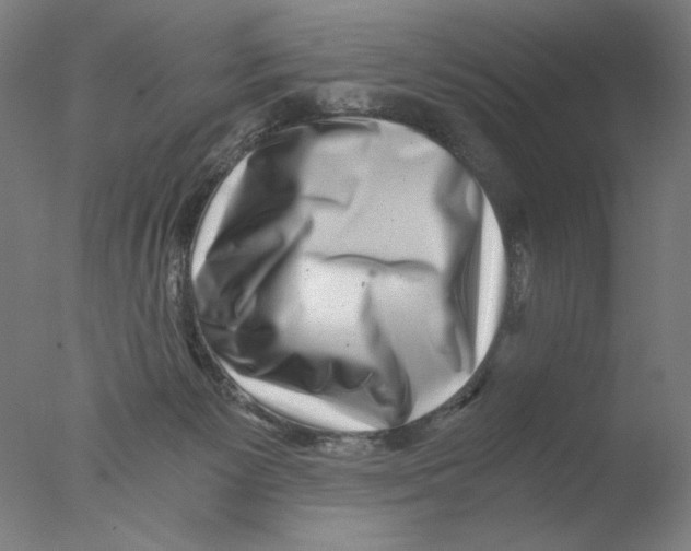 X0000076070125200610202024