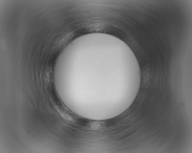 X0000076070126200610202024