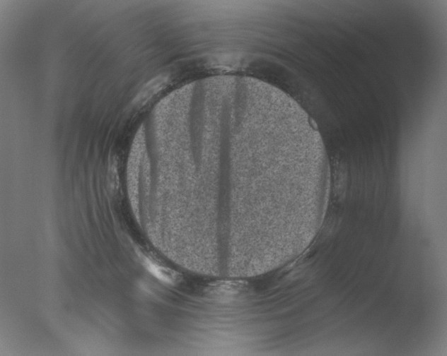 X0000076070128200610202024