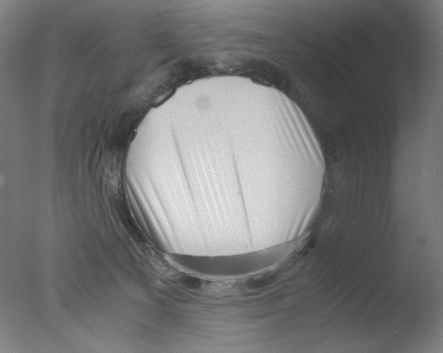 X0000076070129200610202024