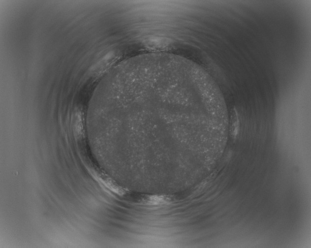 X0000076070130200610202024