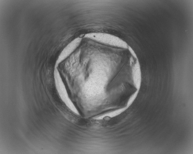 X0000076070131200610202024