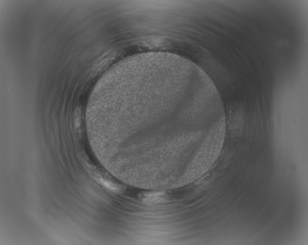 X0000076070132200610202024