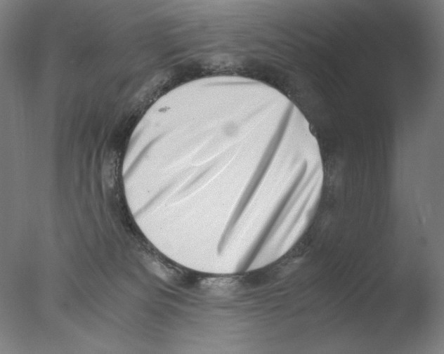 X0000076070133200610202024