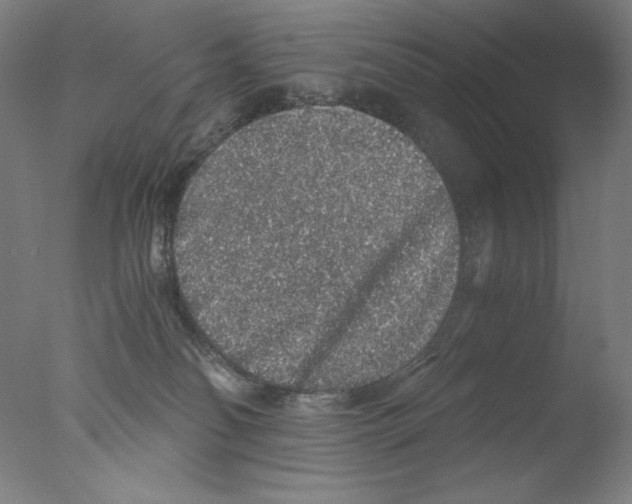 X0000076070134200610202024