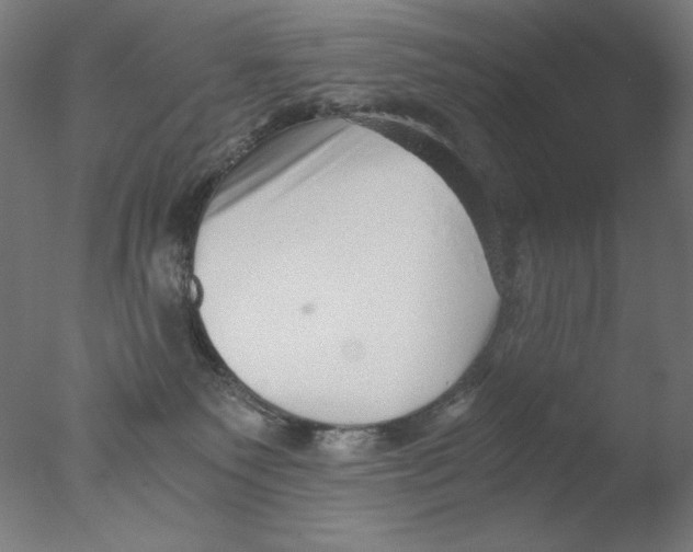 X0000076070135200610202024