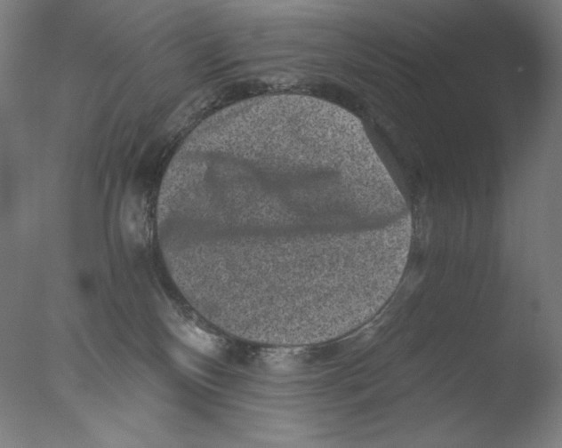 X0000076070136200610202024