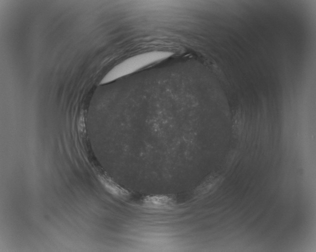 X0000076070137200610202024