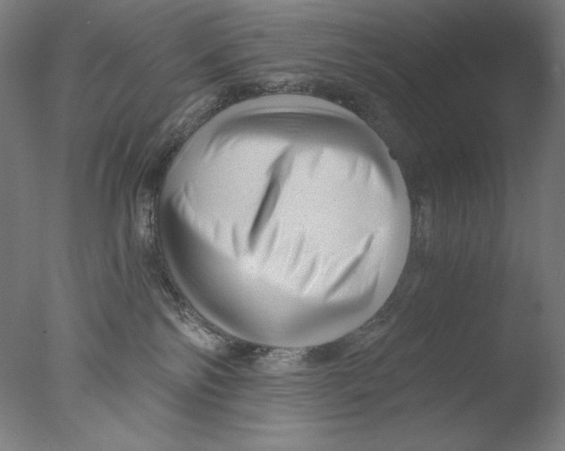 X0000076070138200610202024