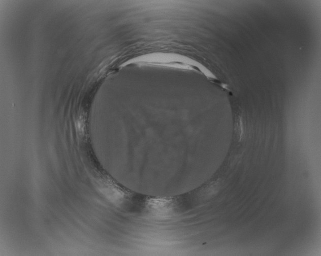 X0000076070139200610202024