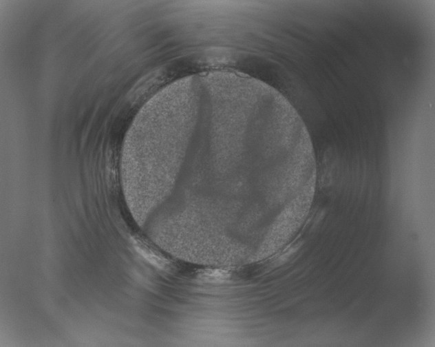 X0000076070140200610202024