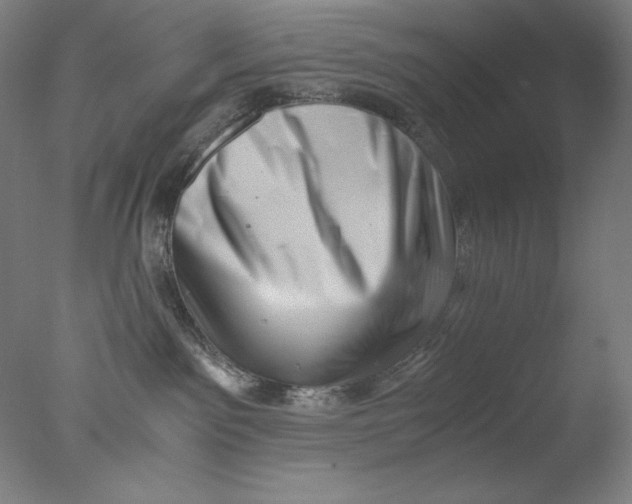 X0000076070141200610202024