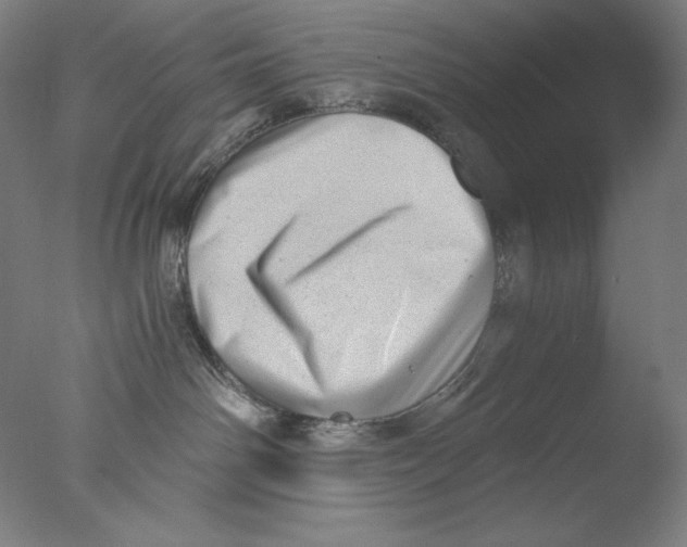 X0000076070142200610202024