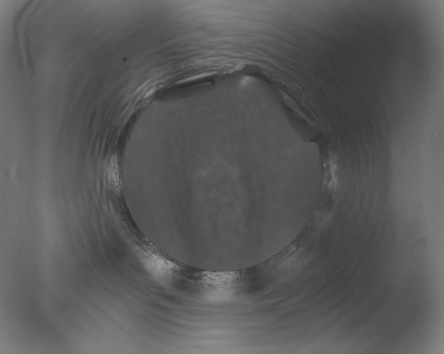 X0000076070143200610202024