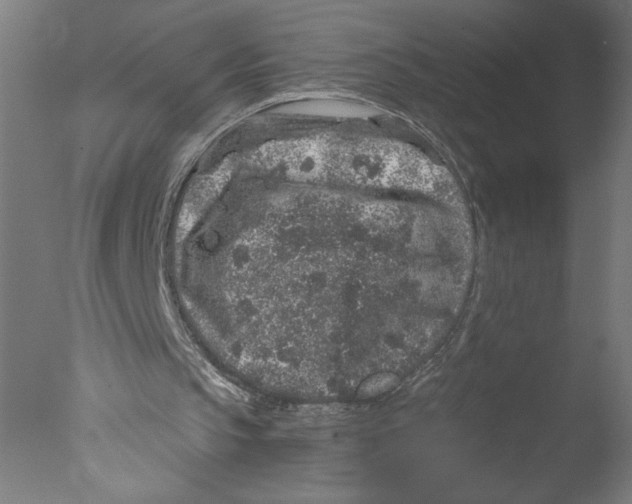 X0000076070145200610202023