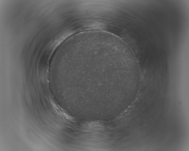 X0000076070146200610202023