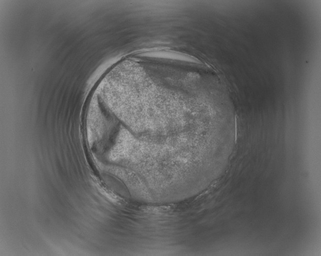 X0000076070147200610202023