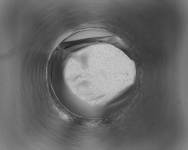 X0000076070148200610202023